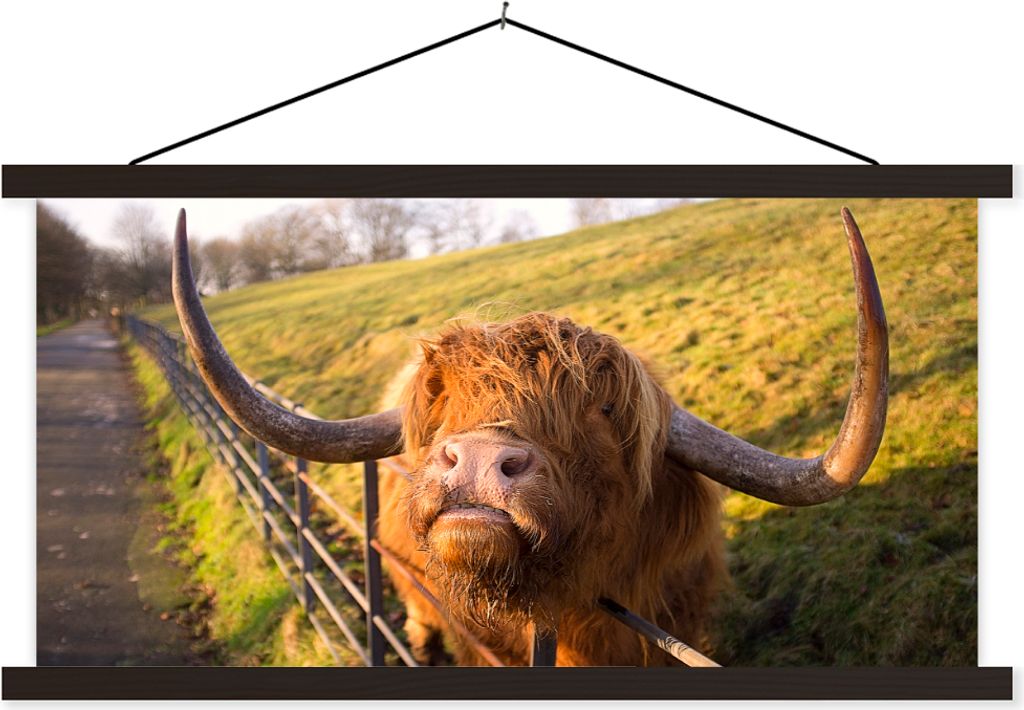 MuchoWow Textilposter Scottish Hochlandrind - Zaun - Gras 60x30 cm mit schwarzem Rahmen - Textilien
