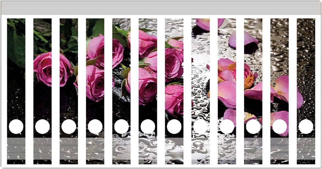 Wallario Ordnerrücken Sticker, selbstklebend für schmale Ordner, 12 Stück, Motiv Pinke Rosen mit Wassertropfen