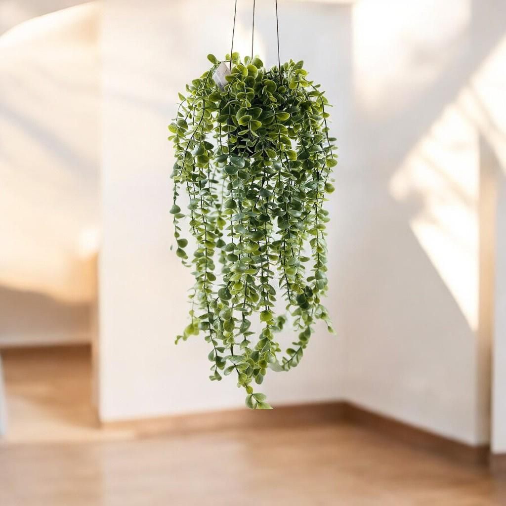 Hngende Kunstpflanze SENECIO, 60 cm Kunstpflanzen