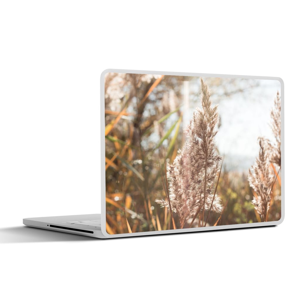 MuchoWow Laptop Aufkleber Sticker Cover Schilf - Sonne - Pflanze 31x22.5 cm - Laptop-Deko