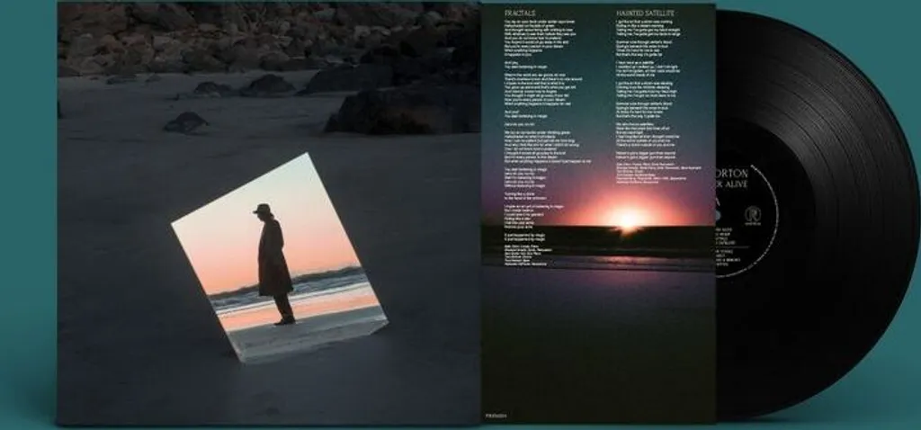 Vinyle Beth Orton Weather Alive - Album Rock pour Soirée Détente