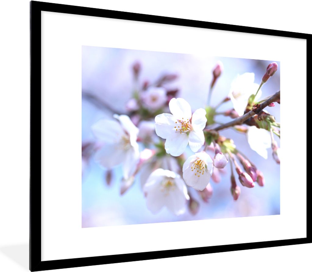 MuchoWow Gerahmtes Poster Blumen - Sakura - Zweig 80x60 cm - Poster mit Schwarzem Bilderrahmen Wandposter Rahmen Foto Bilder - Schlafzimmer-Dekor...