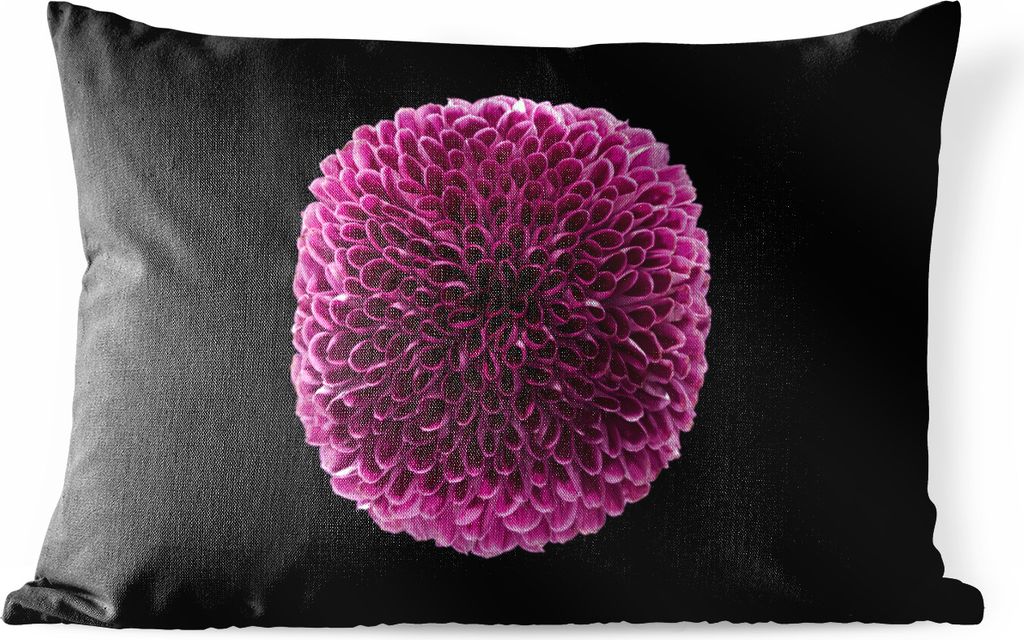 MuchoWow Outdoor Kissen - Eine kugelförmige lila Chrysanthemenblüte auf schwarzem Hintergrund - 60x40 cm - Wetterfest - Lounge Kissen - Zierkis...