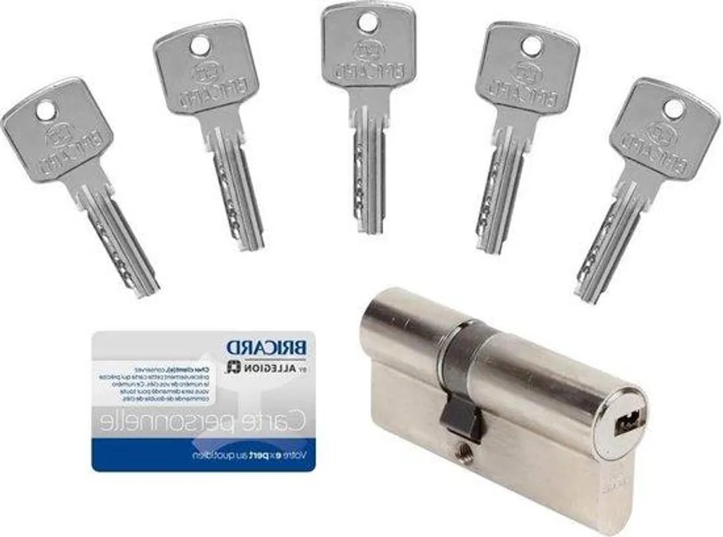 Barillet de porte A6 30x40 mm fourni avec 5 clés haute qualité