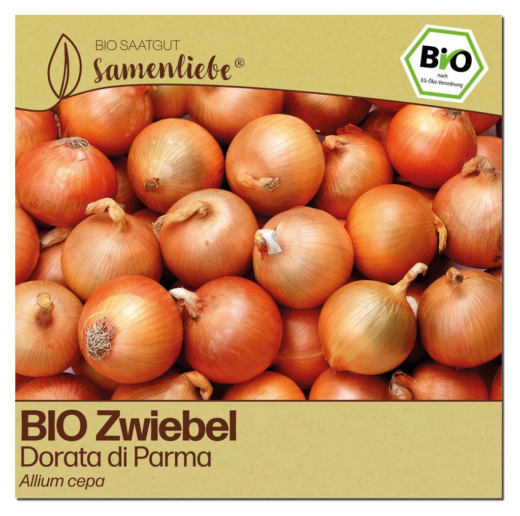Samenliebe  Zwiebel Samen | Dorata di Parma - gelbe & süß Produktbild 