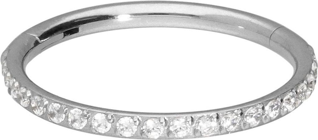 Ohrpiercing, Nasenpiercing, Septum Piercing Titan Segmentring Clicker EINGEFASSTE KRISTALLE Silber Innendurchmesser: 8mm + Stabstärke: 0,8mm
