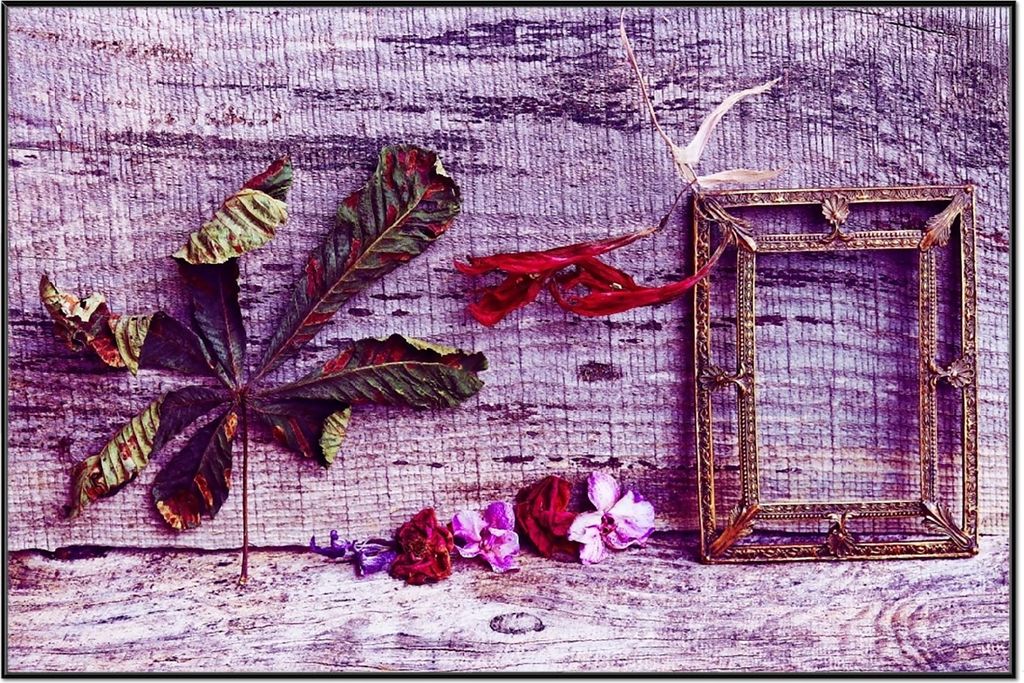 Wallario Wandbild Getrocknete Blätter - Herbst Stillleben in lila, Größe: 61 x 91,50 cm, Poster mit schwarzem Aluminiumrahmen