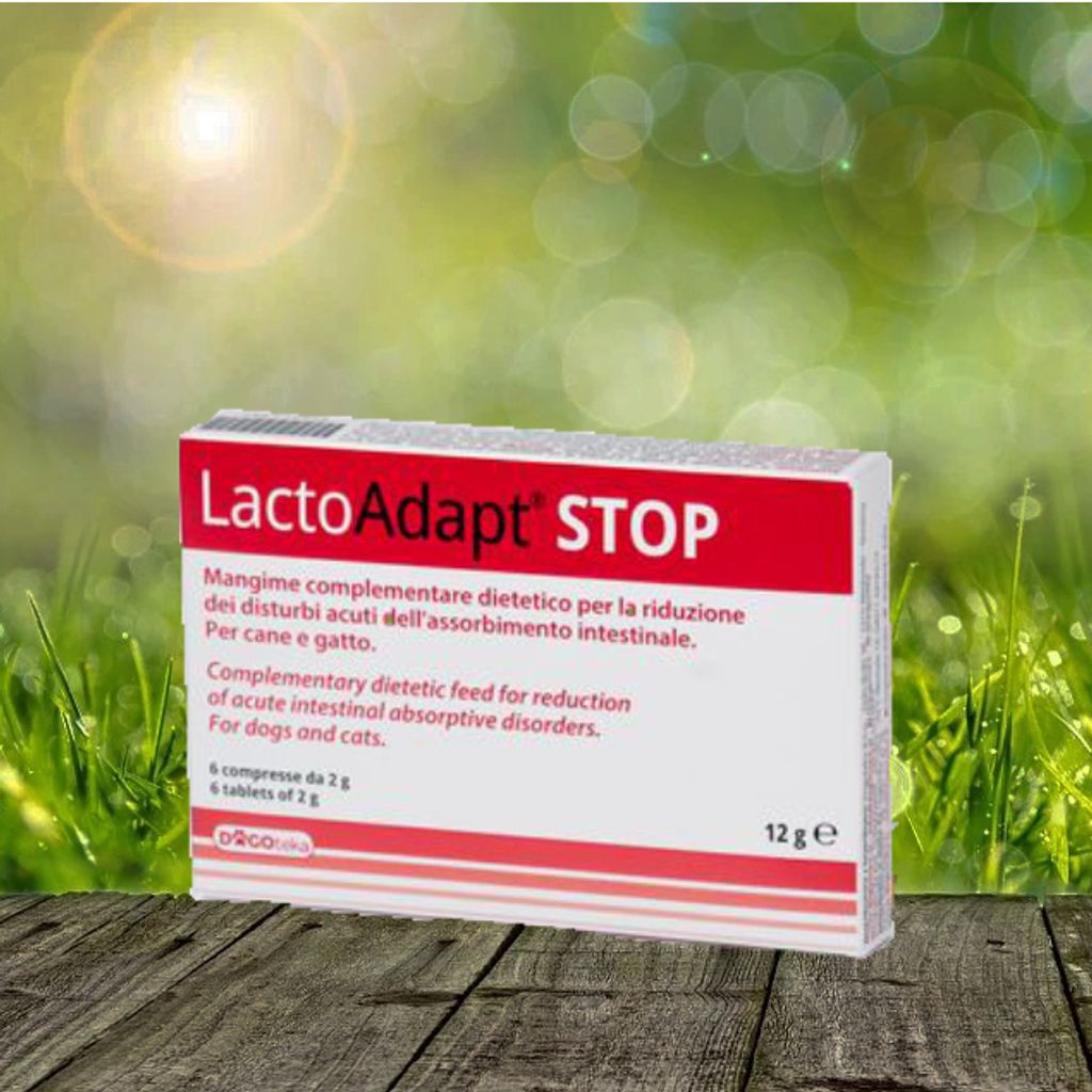Dogoteka LactoAdapt Stop 6 Tbl.