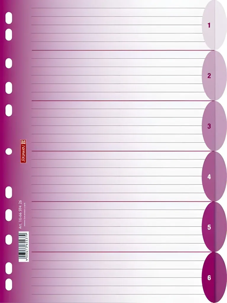 Intercalaires pour Organiser un Classeur A4 BRUNNEN Colour Code Rose
