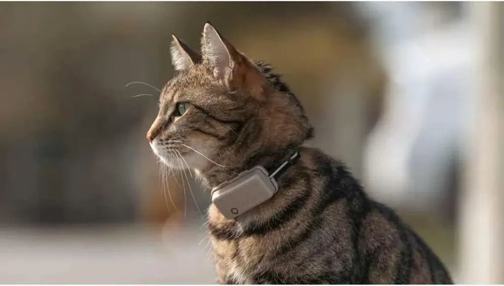 Tractive CAT Mini - GPS pour Chat avec Collier Rogz Marron et Santé - 2