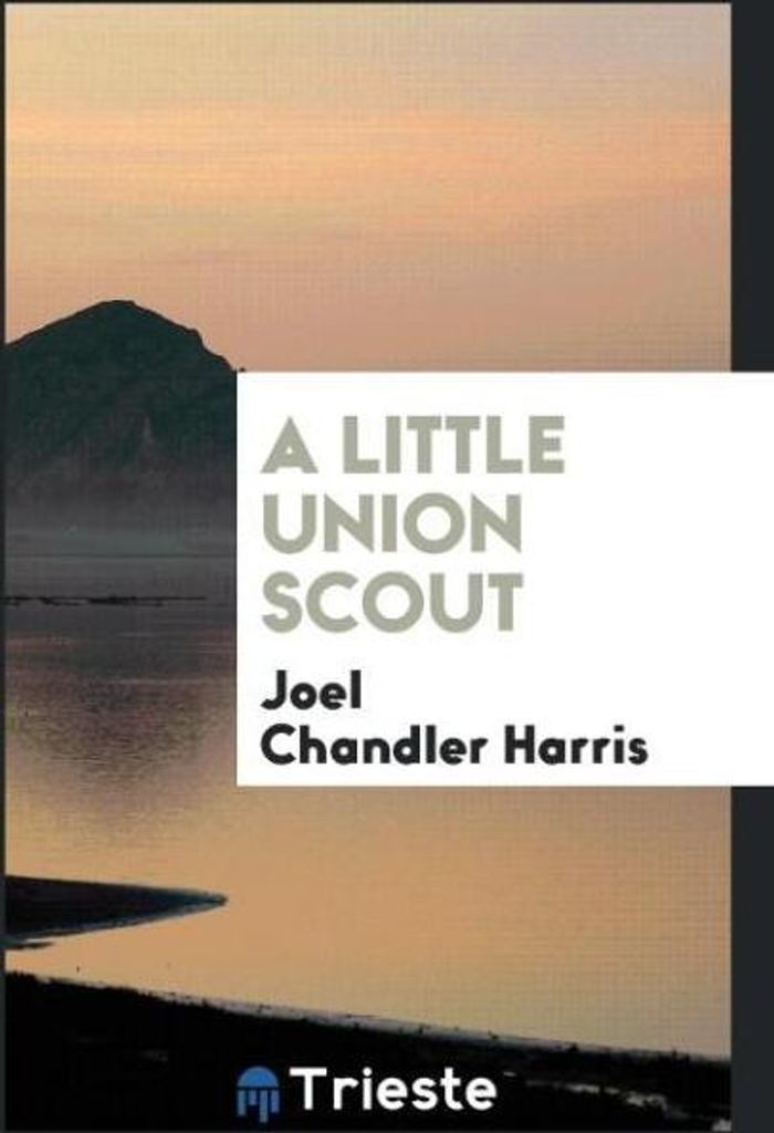 A little Union scout
