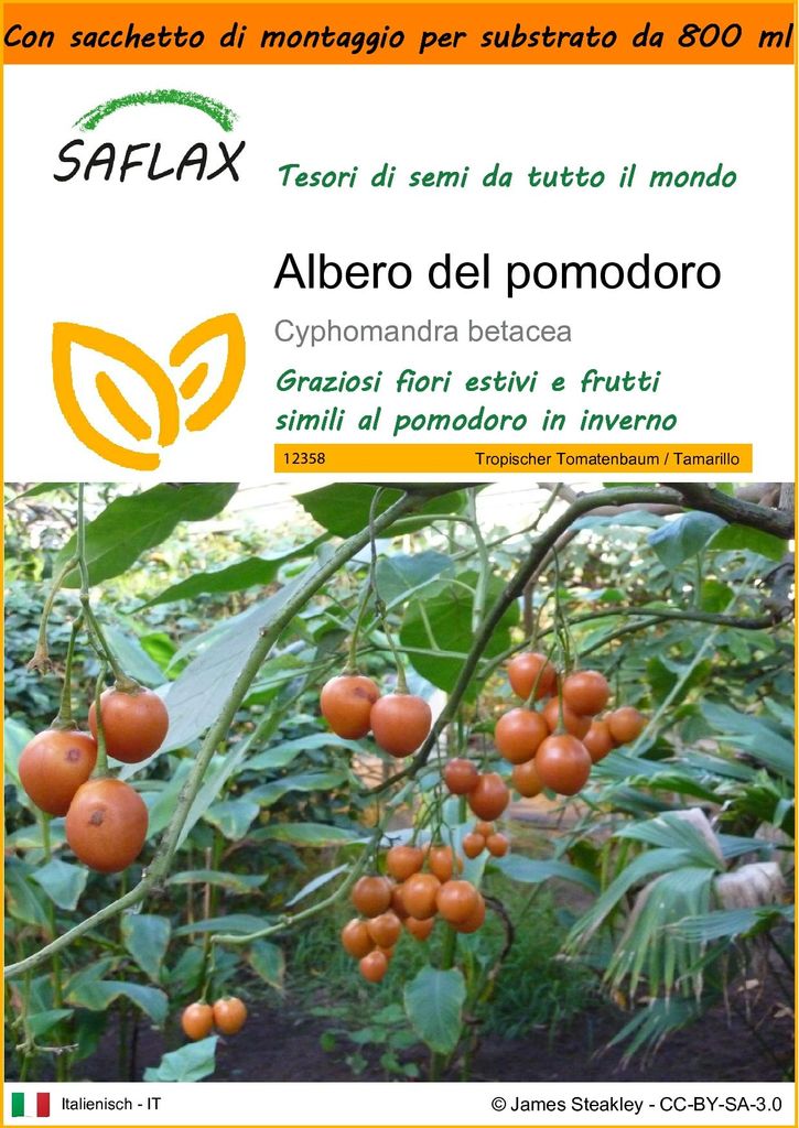 SAFLAX Garden in the bag - Albero del pomodoro - 50 semi - Immagine del prodotto 