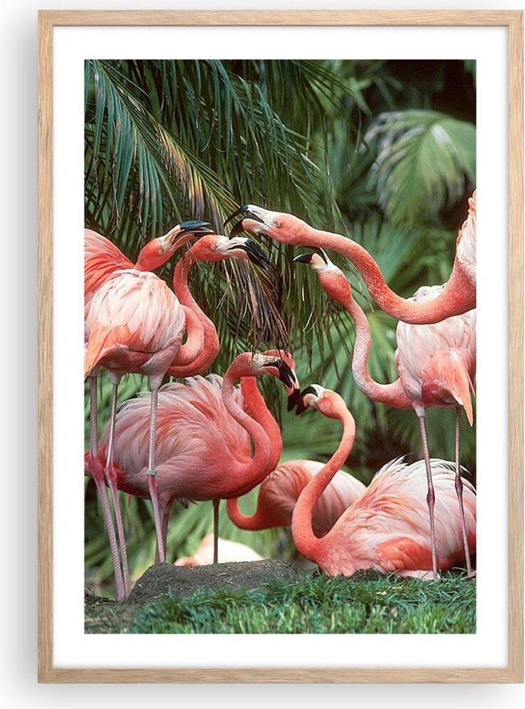 Gerahmtes Poster - Rahmen in heller Eiche - Palmen Herde Flamingos - 50x70 cm - Wand Bild - Wanddeko - Wandbilder - Kunstposter - Wandposter - Bild...