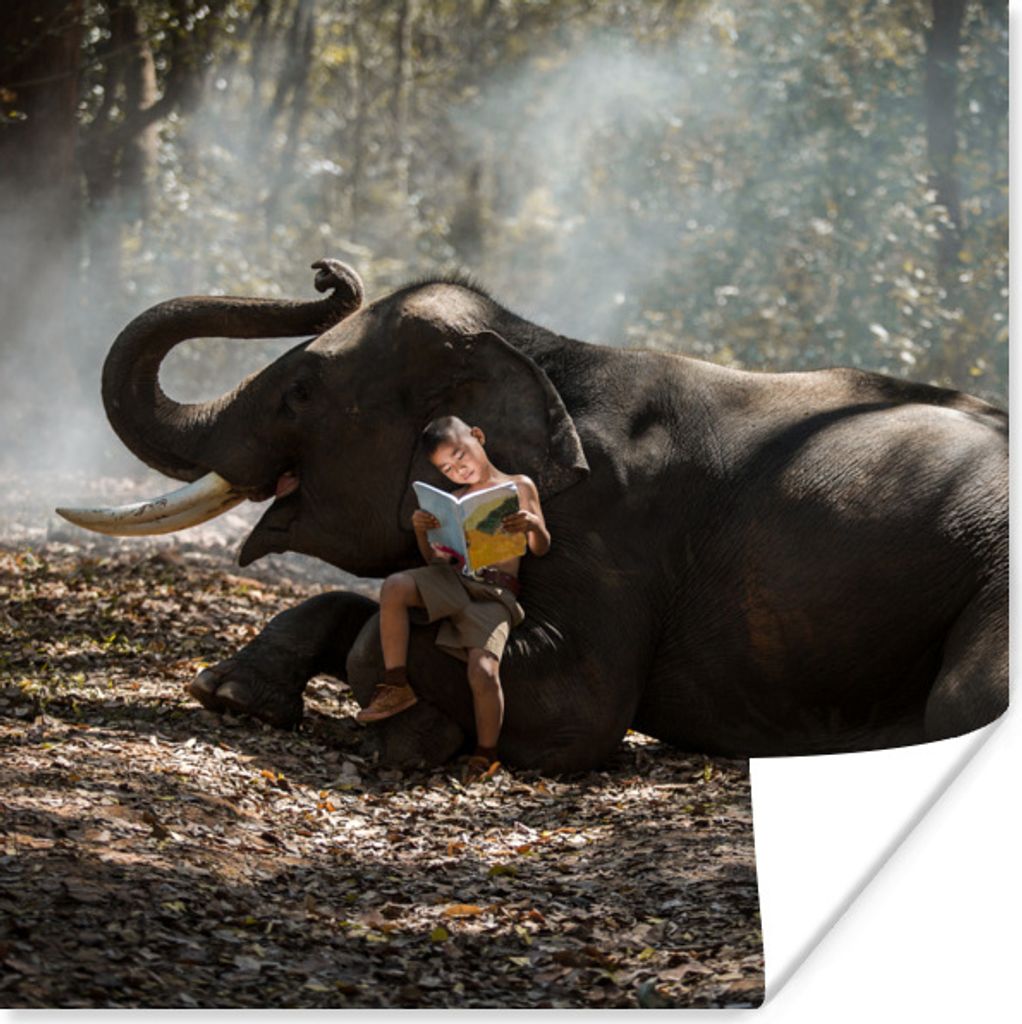 MuchoWow Poster Elefant mit einem lesenden Kind 75x75 cm - Wand Dekoration