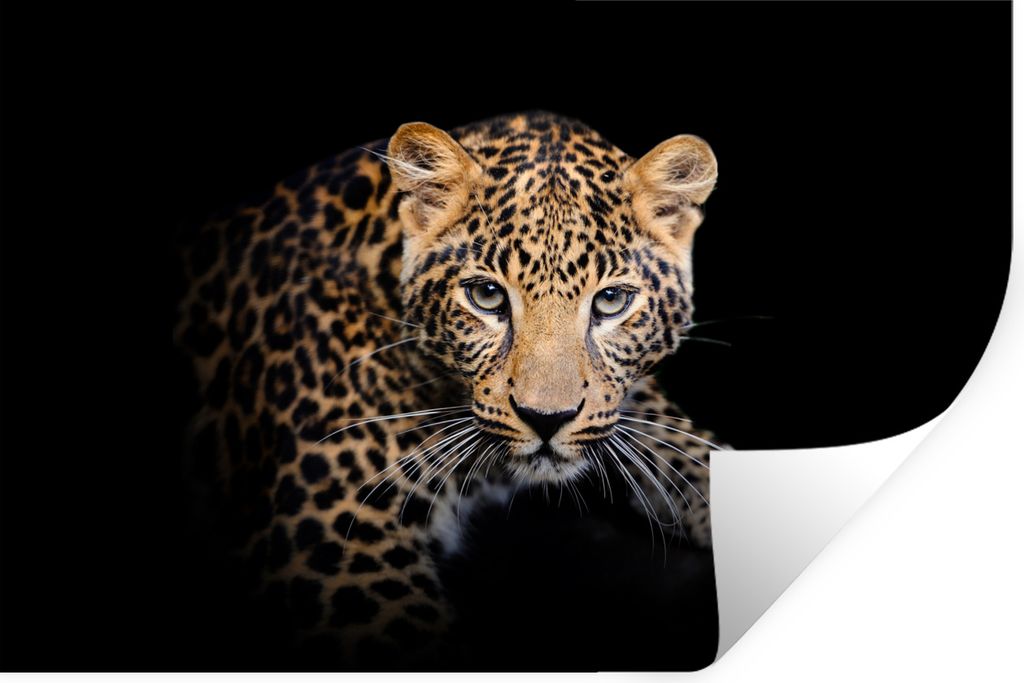 MuchoWow - Selbstklebend - Fototapeten