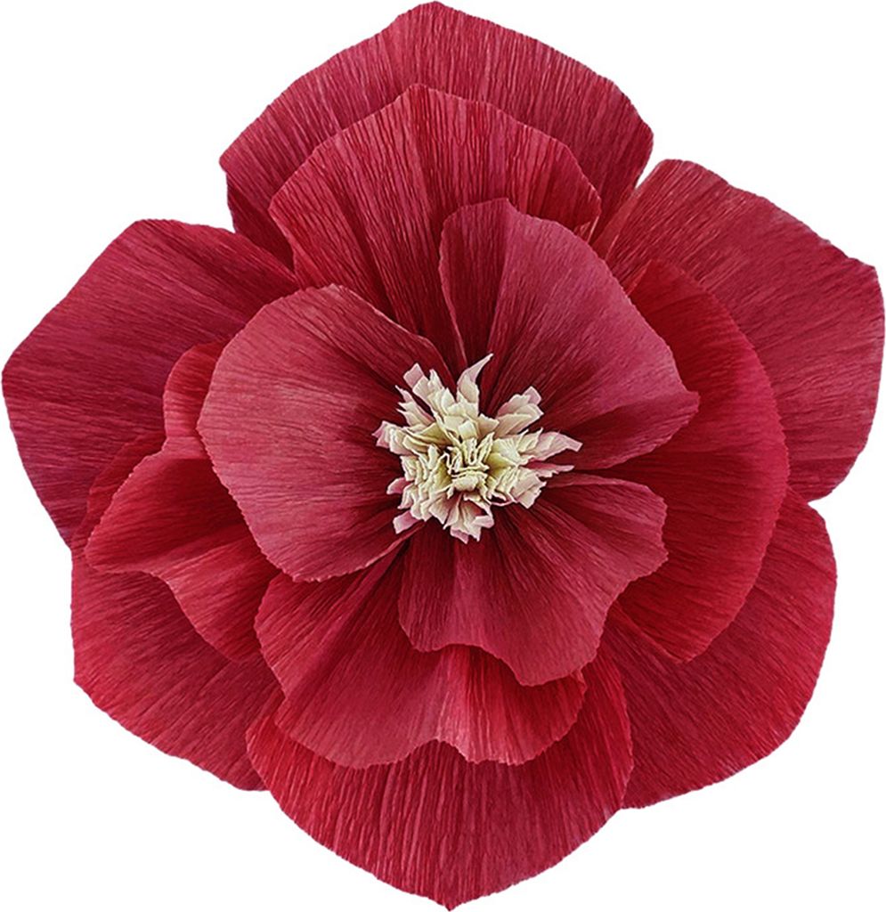 Crepe Paper Flowers DIY handgefertigtes Papier Blumen Wandkunstdekoration für Home Party Hochzeits Geburtstag-Rot ,Größen:25cm