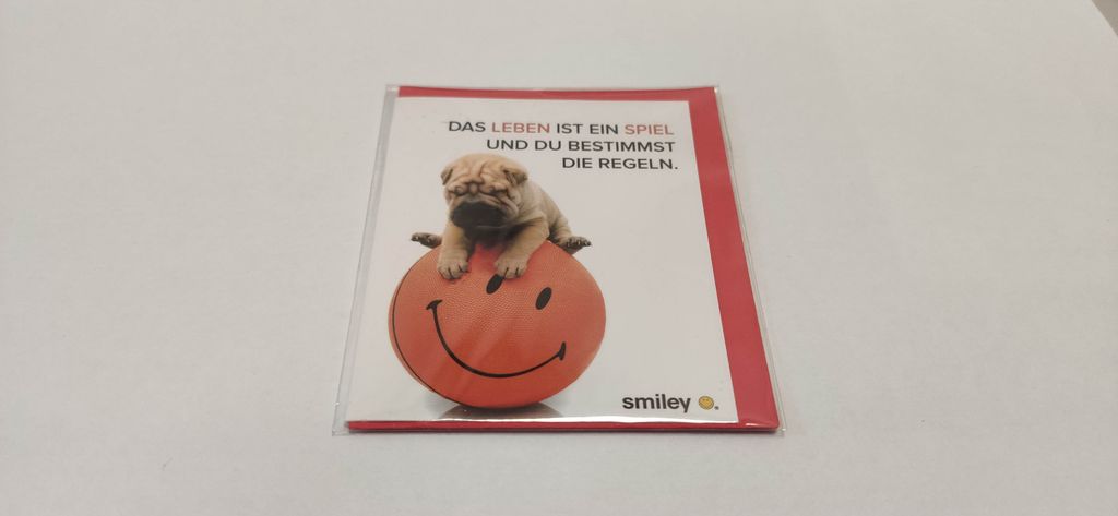 Allgemeine Wünsche – Smiley - Minikarte mit Umschlag – Mops auf Smiley