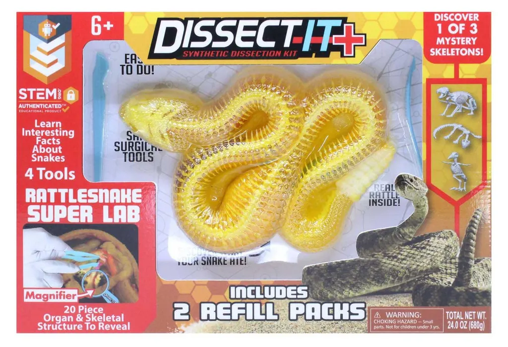 Apprendre la biologie sans danger Kit de dissection serpent réaliste