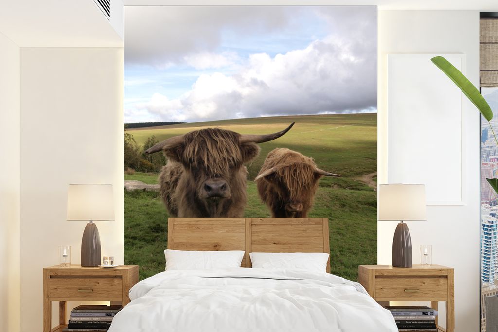 MuchoWow Fototapete für Wohnzimmer oder Schlafzimmer Wandtapete Vinyl Motivtapete Schottische Highlander - Kühe - Natur - 160x220 cm - Bildschi...