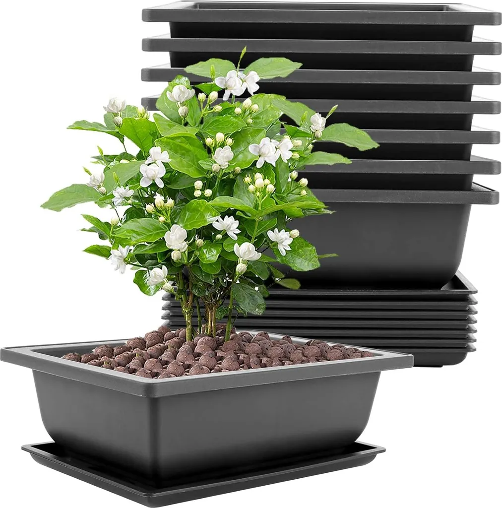 Pots à Bonsaï Anti-Moisissure des Racines avec Soucoupes, Lot de 8 en Noir
