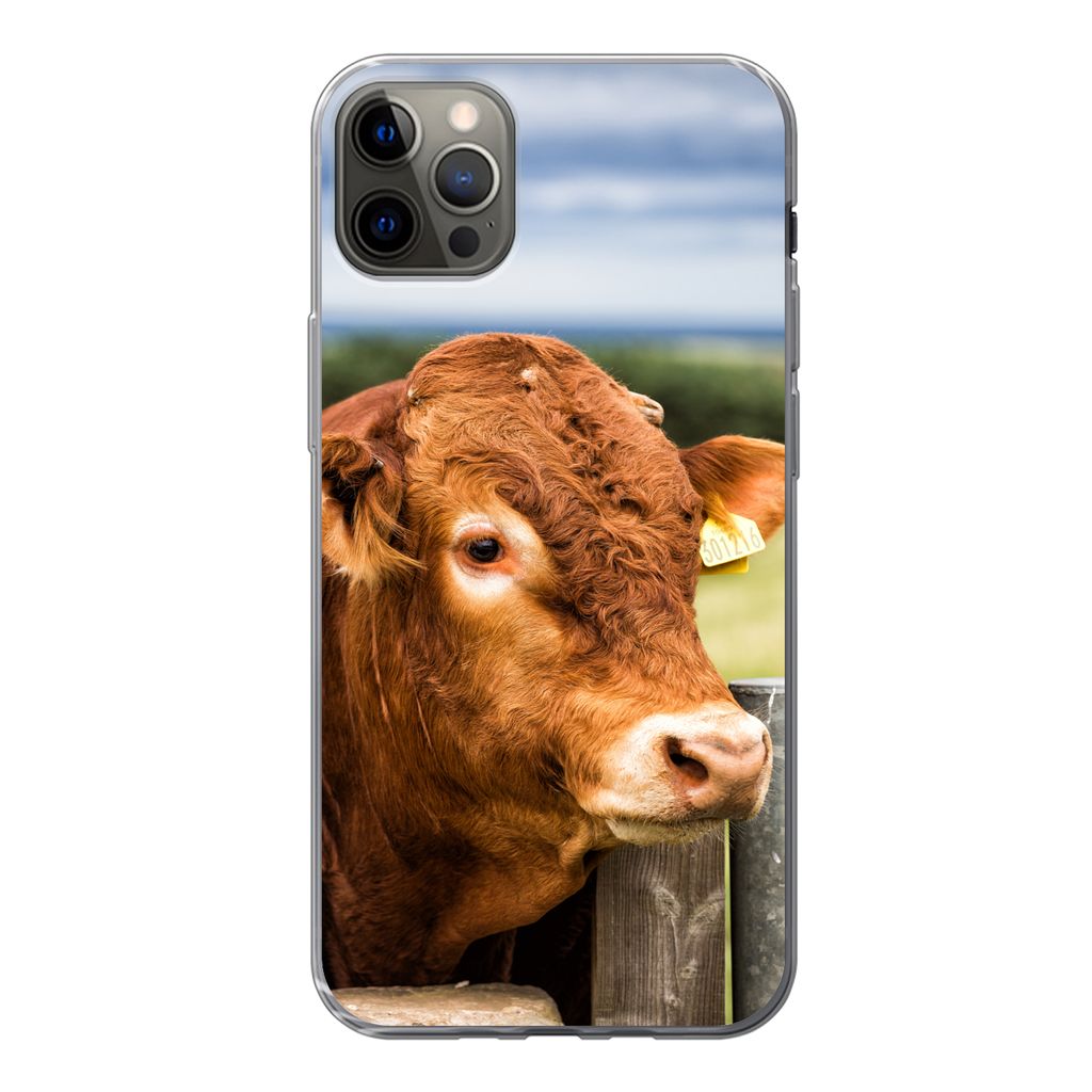 MuchoWow Handyhülle Schutzhülle Hülle für iPhone 12 Pro Max Schottischer Highlander - Berg - Zaun Silikon Softcase Handy Hülle - Hartschale