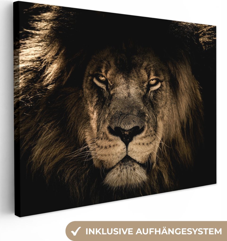 MuchoWow - Leinwandbilder - Löwe - Tiere - Schwarz - Porträt, Wandbild, Wanddeko Bilder Wohnzimmer, 80x60 cm