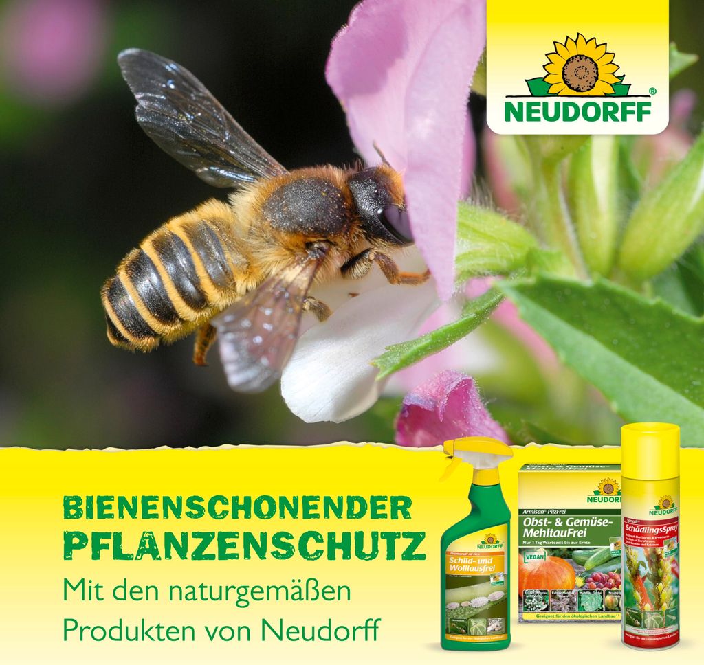 Neudorff Neudosan AF Neu Blattlausfrei 500 ml Produktbild 14