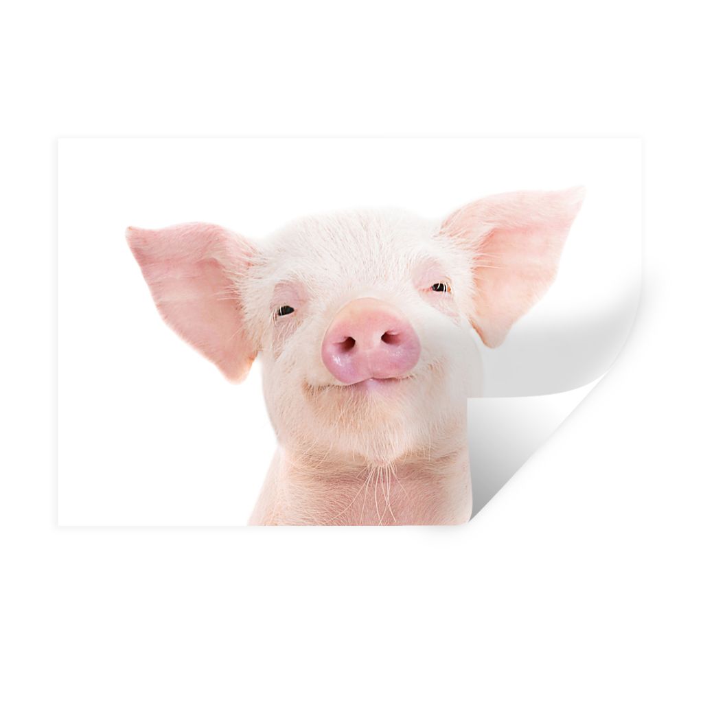 MuchoWow Wandtattoo Wandsticker Wandaufkleber Schwein - Rosa - Tiere - Natur 90x60 cm Selbstklebend und Repositionierbar - Aufkleber