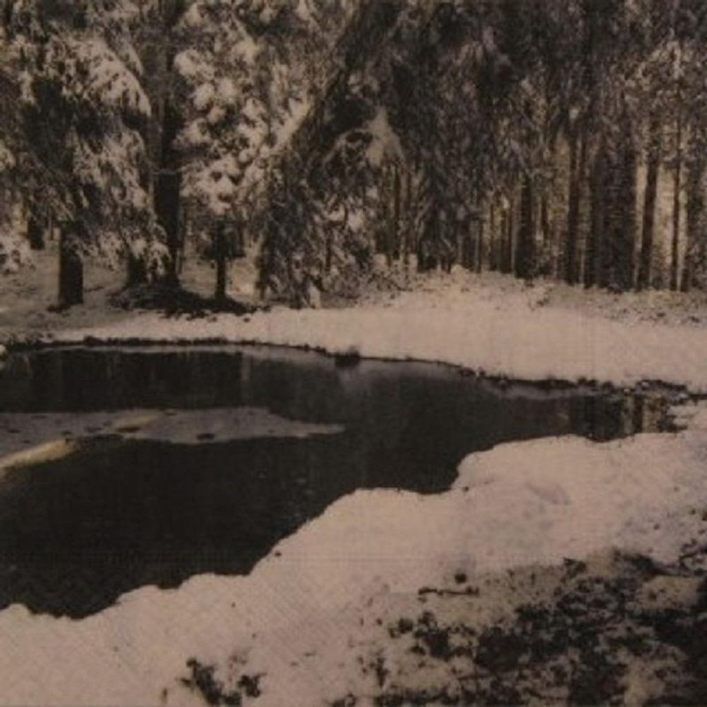 20 LUNCH SERVIETTEN 33x33cm. WINTERLANDSCHAFT mit TEICH