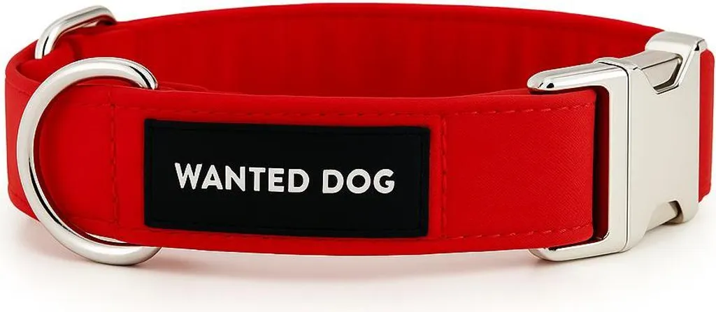 Collare Rosso per Cani WANTED DOG VOLUTO M 30CM Fibbia Metallo Lusso