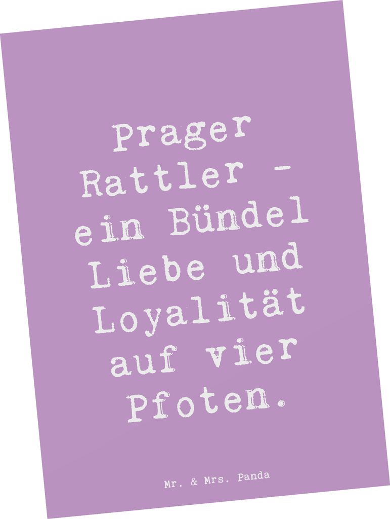 Mr. & Mrs. Panda Postkarte Spruch Prager Rattler - Lavendeltraum - Geschenk, Hunderassen Beschreibung, treuer Begleiter, Liebe, Postkarten, Pflege,...