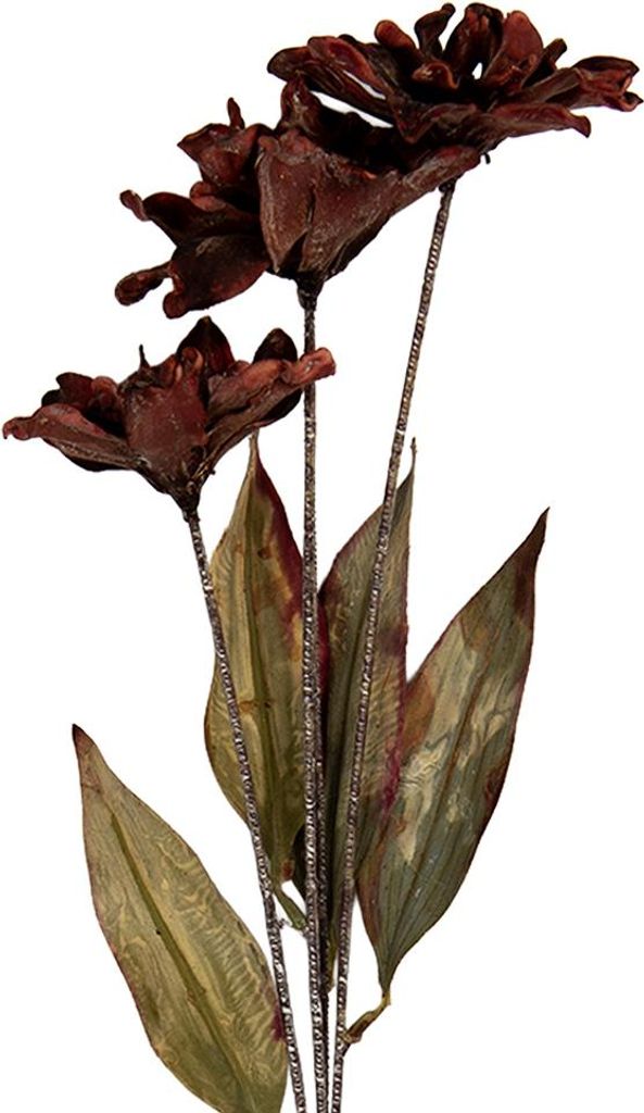 Clayre & Eef Kunstblume 8x5x60 cm Braun Kunststoff