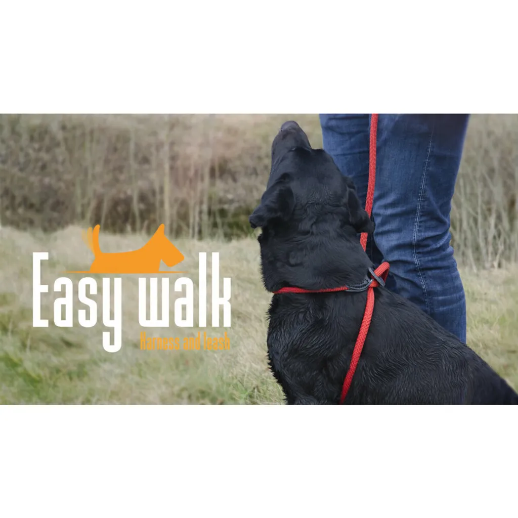 Easy Walk Rosso | La Scarpa Essenziale per il Tuo Tempo Libero
