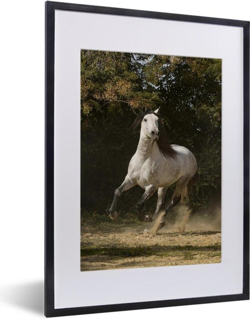 MuchoWow MuchoWow Gerahmtes Poster Pferd - Pilz - Sand - Gras 30x40 cm - Poster mit zchwarzem Bilderrahmen - Wandposter Schlafzimmer
