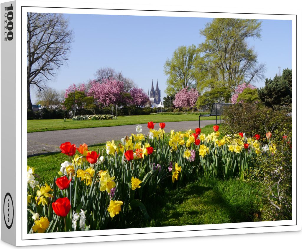 raxxa Premium-Puzzle "Frühblüher im Rheinpark mit Kölner Dom", 1000 Teile