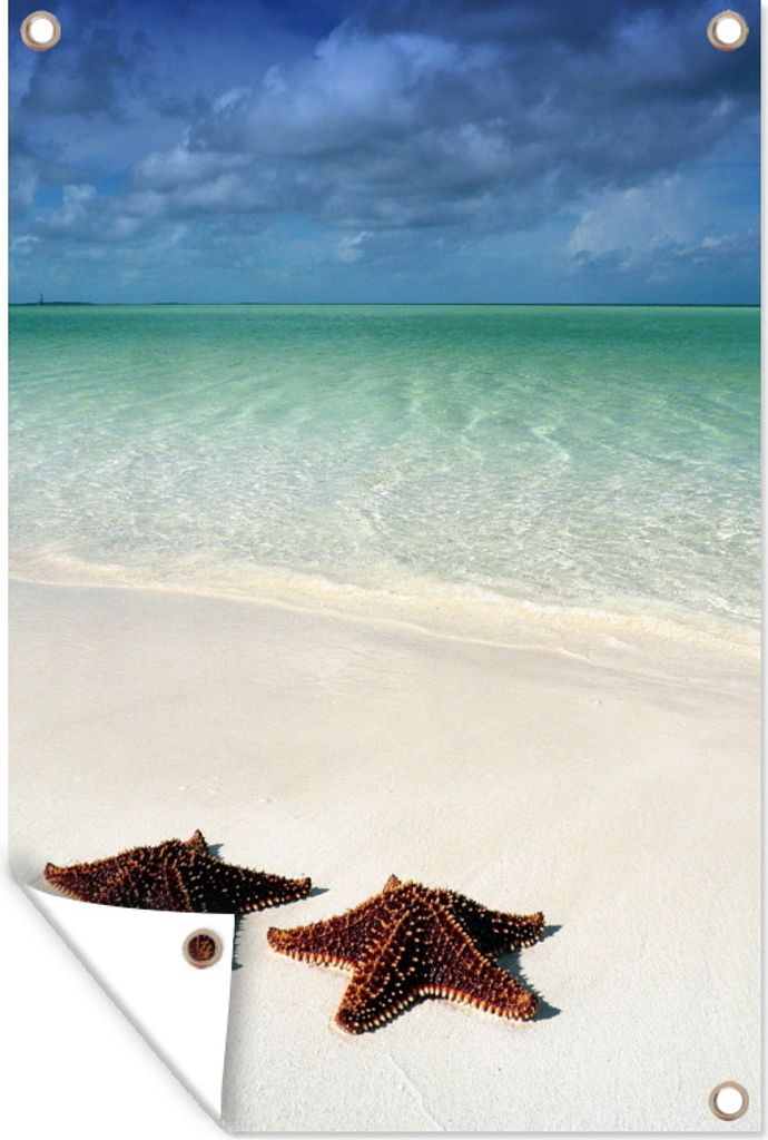 MuchoWow 60x90 cm Outdoor-Poster Gartendeko Sichtschutz Garten Poster für den Garten Seestern - Strand - Wasser