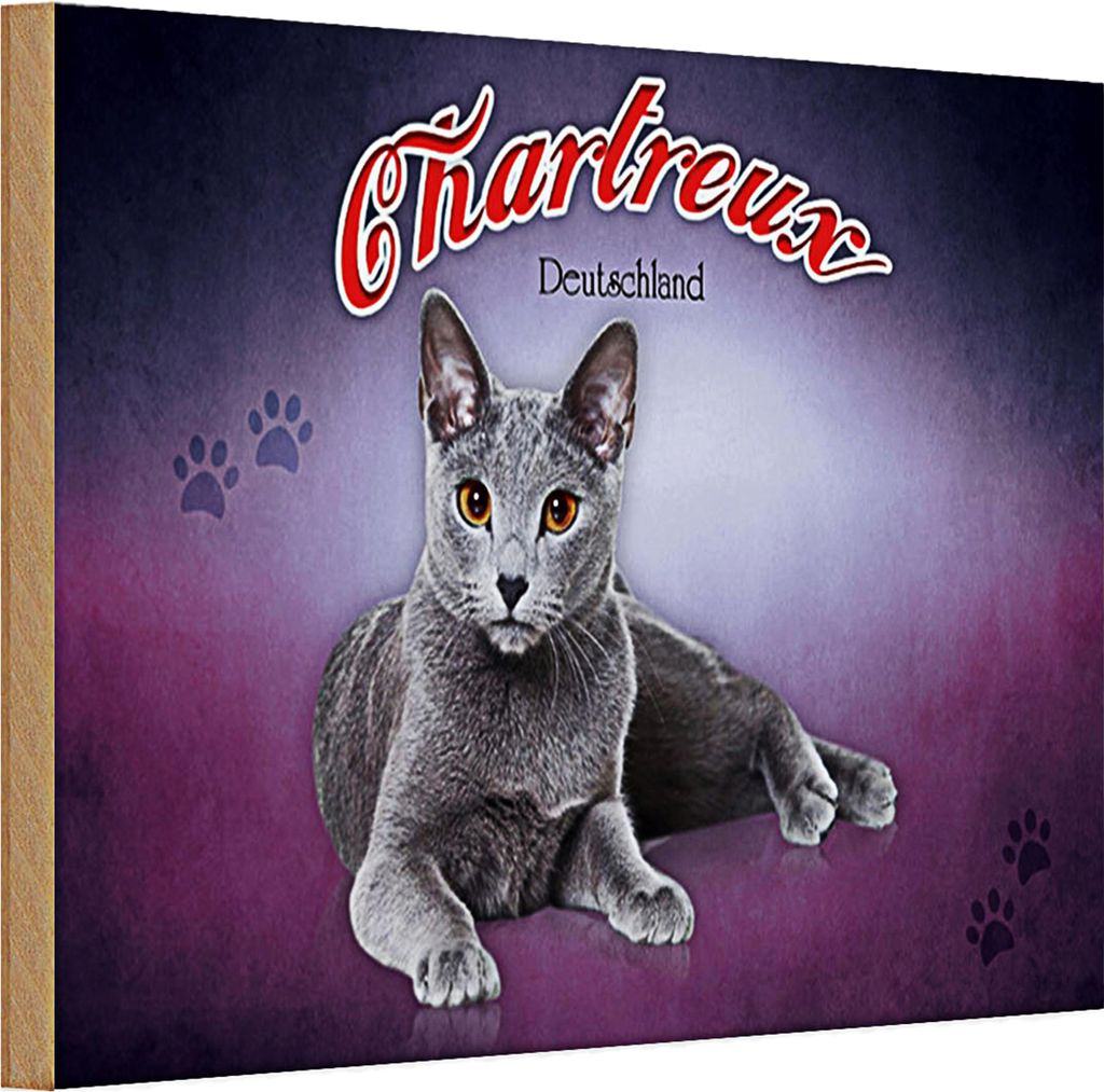 Holzschild Katze 30x20cm Chartreux Deutschland