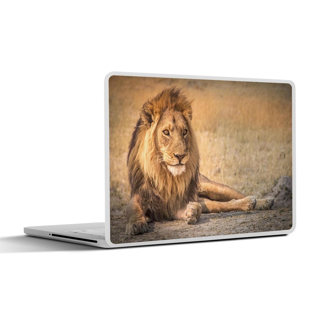 MuchoWow Laptop Aufkleber Sticker Cover Löwe - Nahaufnahme - Savanne 30x21 cm - Sticker für Laptop - Selbstklebend