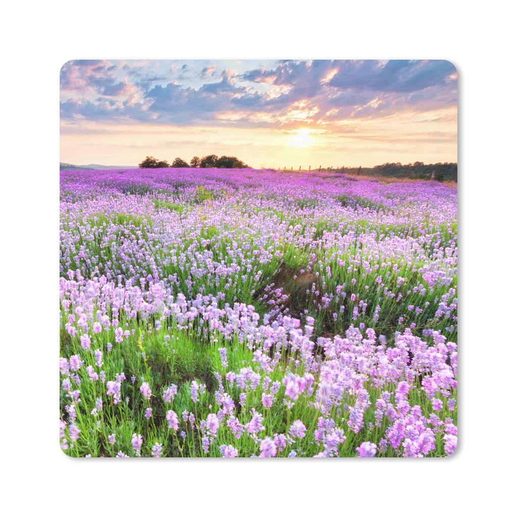 MuchoWow Mauspad Mousepad Lavendel - Blumen - Sonnenuntergang - Lila - Wiese 30x30 cm - Mousepads - Maus Mat - Pad - Mausunterlage - Gaming