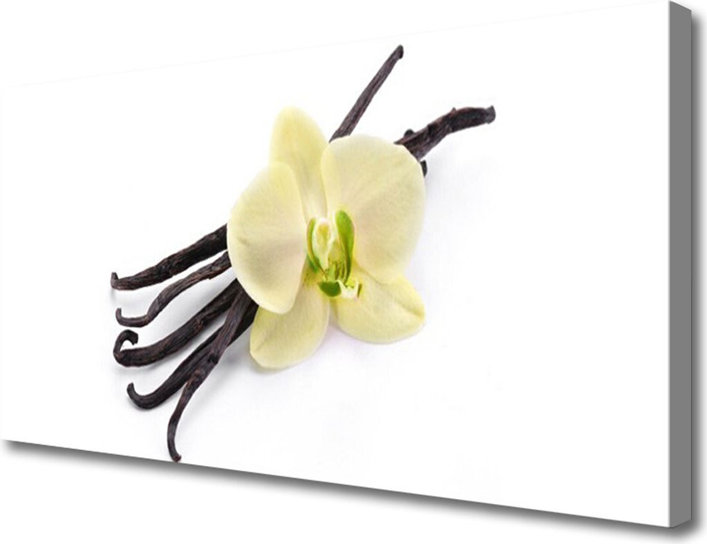 Tulup Leinwand-Bilder 100x50 Wandbild Canvas Kunstdruck Blume Pflanzen