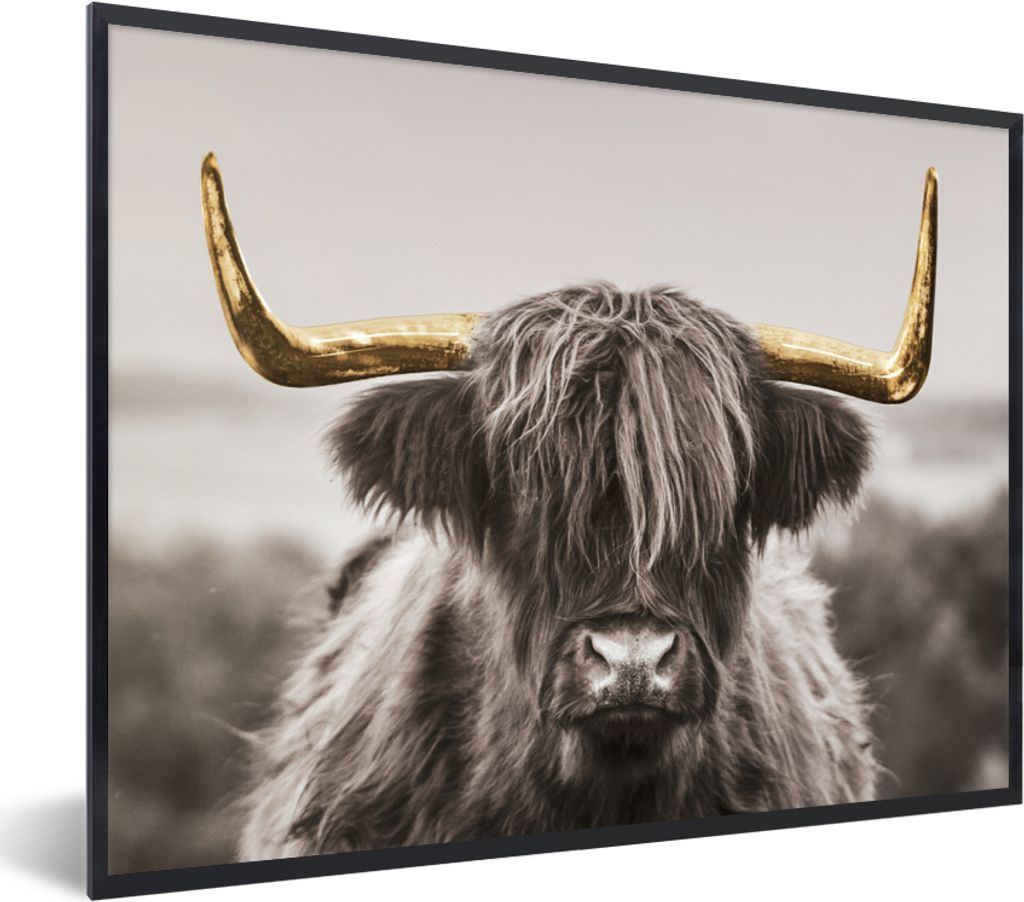 MuchoWow Gerahmtes Poster Scottish Highlander - Schwarz - Weiß - Gold 40x30 cm - Poster mit Schwarzem Bilderrahmen Wandposter Rahmen Foto Bilder...