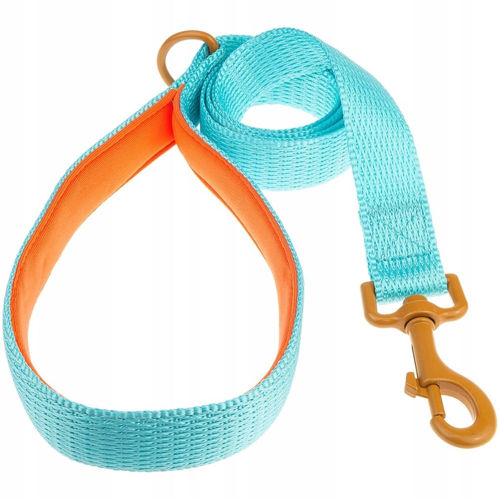 Traditionelle 1.2m Leine für große Hunde L 2.5cm