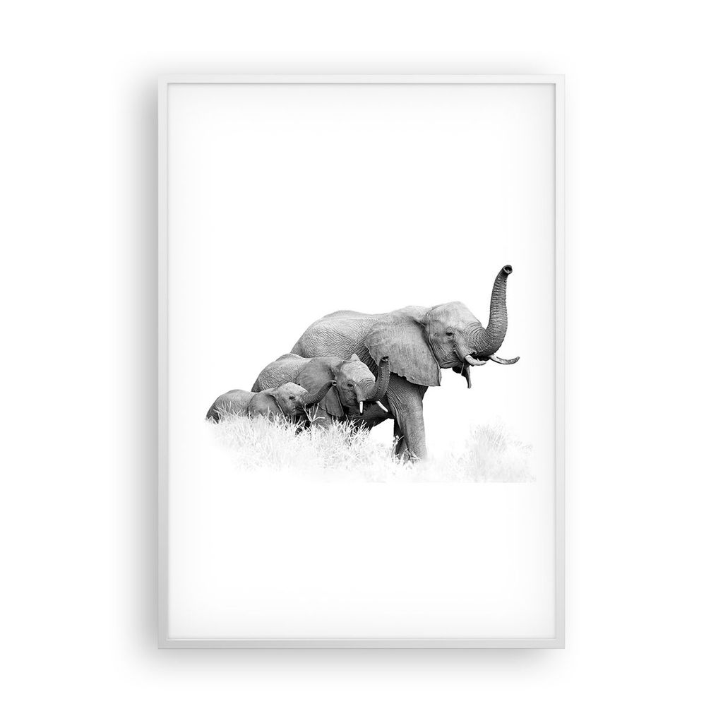 Gerahmtes Poster - Weißer Rahmen - Elefanten Familie Schwarz und Weiß - 70x100 cm - Wand Bild - Wanddeko - Wandbilder - Kunstposter - Wandposter ...