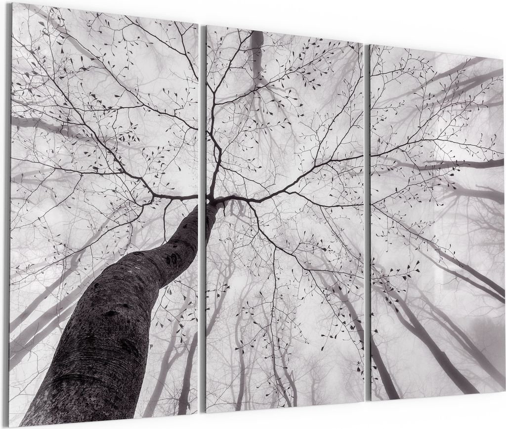 DEQORI Glasbild Echtglas 3x50x100 cm 'Stille Resilienz' Wandbilder XXL groß