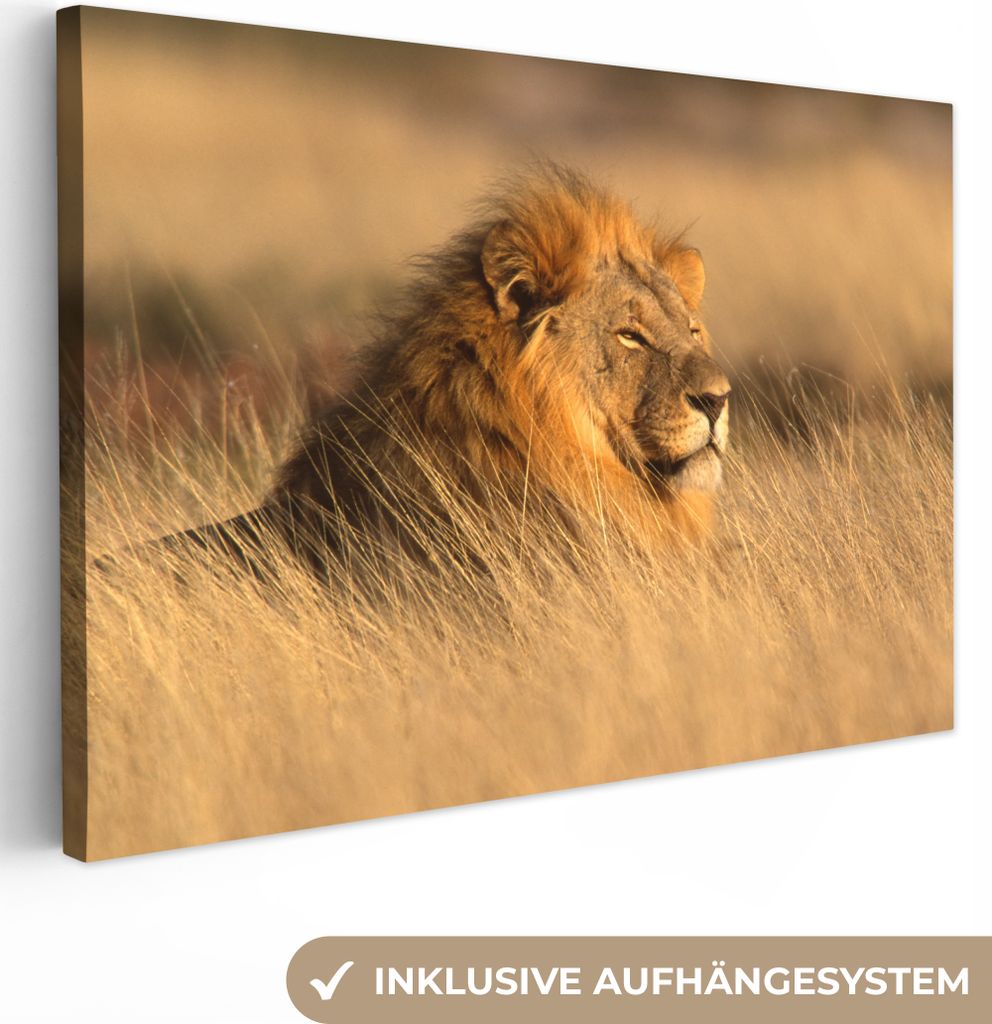 OneMillionCanvasses - Leinwandbilder - 140x90 cm, Wilde Tiere - Gras - Afrika, Wandbilder Kunstdruck Wanddekoration