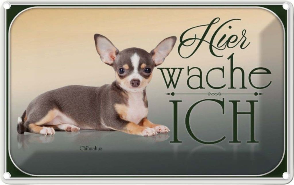 vianmo Blechschild 12x18 cm Hund Welsh Corgi hier wache ich Tier Haustier