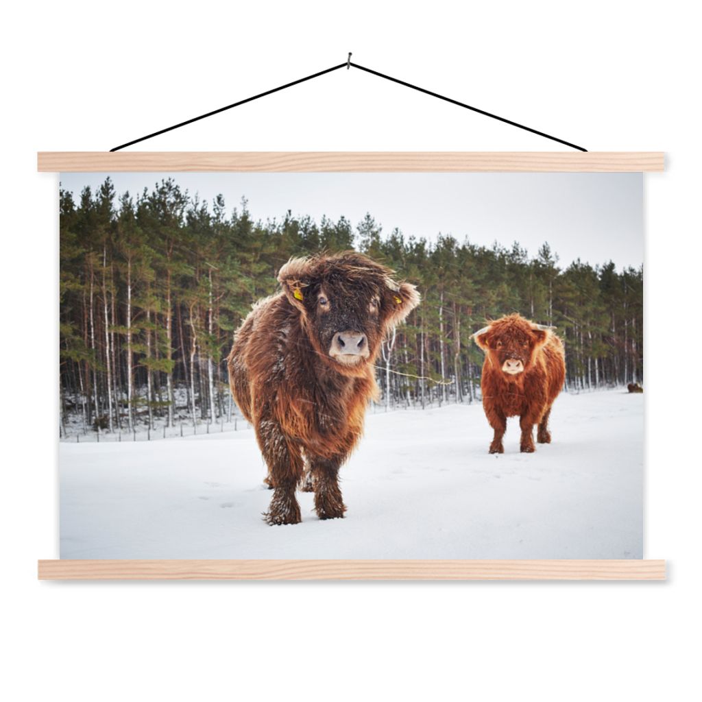 MuchoWow Textilposter Schottische Highlander - Schnee - Kühe 120x80 cm mit holzfarbenen Rahmen - Aufhängeset