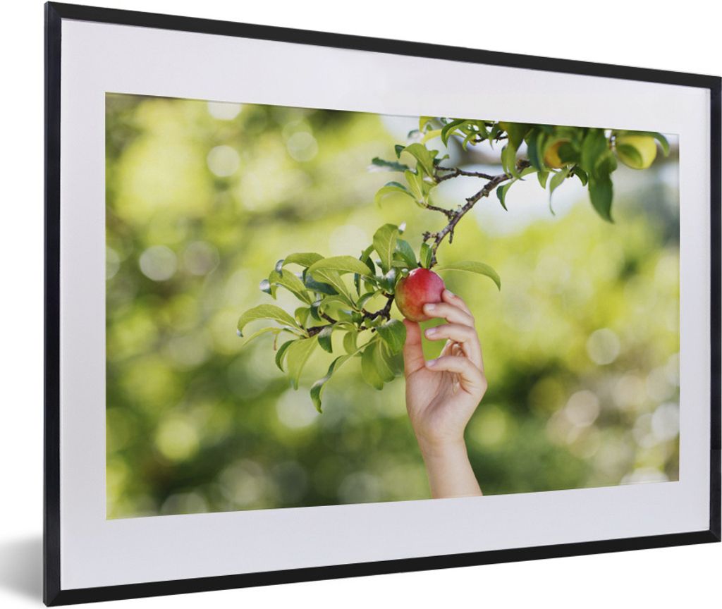MuchoWow Gerahmtes Poster Obstbäume - Gemüsegarten - Apfel 60x40 cm - Poster mit Schwarzem Bilderrahmen Wandposter Rahmen Foto Bilder - Schlafz...