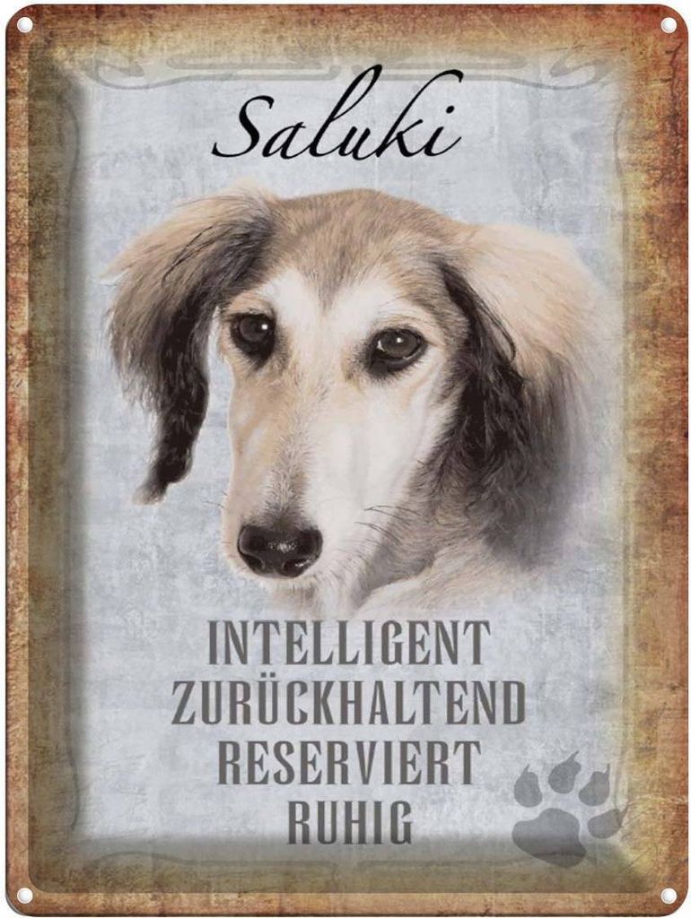 vianmo Blechschild 40x30 cm Saluki Hund ruhig