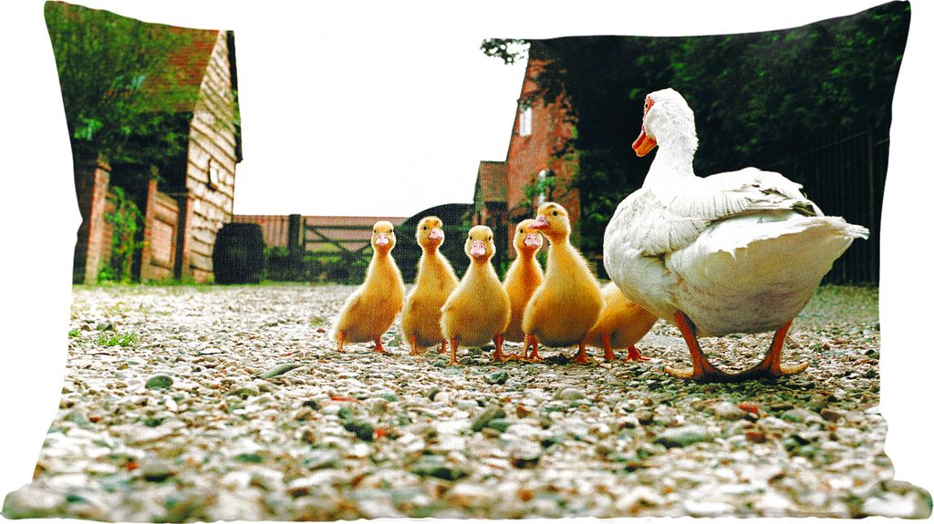 MuchoWow Zierkissen Sofakissen Wohnzimmer Dekokissen 50x30 cm Ente mit Jungen - Wohnzimmerdekoration - Polster mit Photo